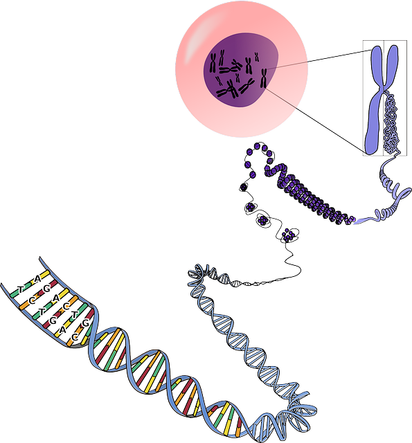 Genetics and Heredity CL4STEM OER